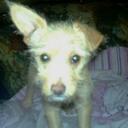 ozzy james osbourne - @metal2112 - Twitter