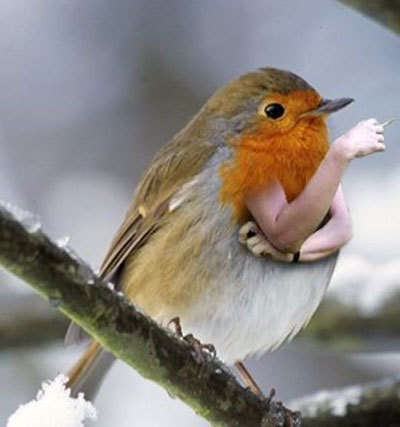 pepperonibread's profile picture. 