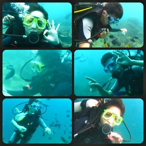 napdator's profile picture. 