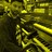 MikeS_JBaus's profile image