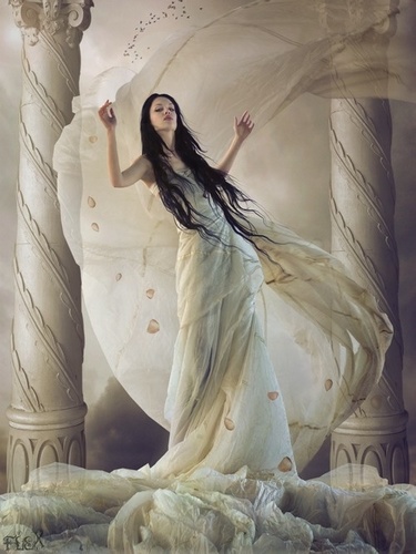 HebeBride create a large collection of dresses for women to celebrate their special moments, including Wedding Dresses, Prom Dresses and so on.