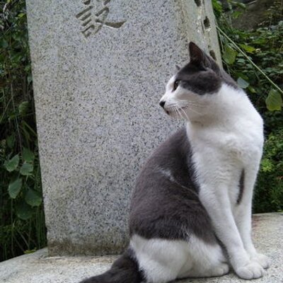 オノカズ