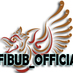 FIBUB_OFFICIAL (@fibub_official) Twitter profile photo