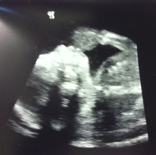 dassamz's profile picture. 