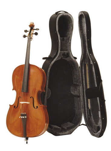 Hart voor (jenaplan)onderwijs, als schoolleider, hart voor kinderen, voor hun ontwikkeling, samen met het team en ouders. Muziek maken (cello) als hobby!