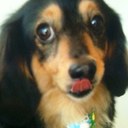 ken saito - @goo1964 - Twitter