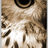 Wealthclothes's profile image
