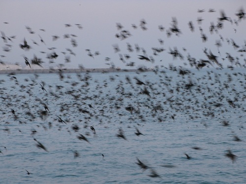 ElaineCrush's profile picture. 