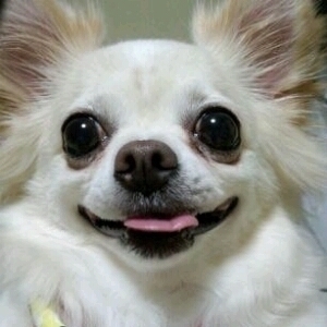 kimiさんさんのプロフィール画像