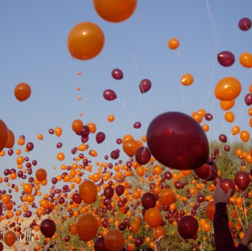 JanVT89's profile picture. Love my life! Great hubby, family, friends, puppies, and HOKIES! Please note that this is my personal account and contains VERY nonprofessional language!!