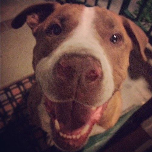 smhotsauce's profile picture. 