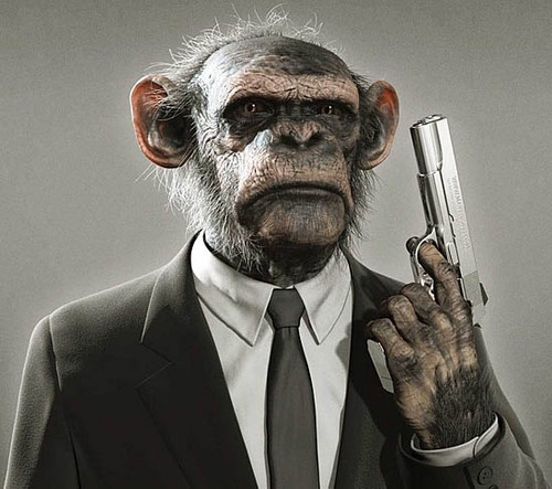 'Banging on the bongos like a chimpanzee'