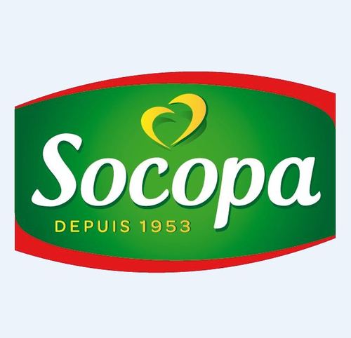 Socopa