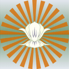 We are The Holistic Practice based in the heart of Sutton Coldfield. Contact us by phone, Twitter or Facebook or via our website