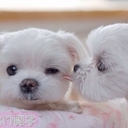 Daniel Sui - @DanielSui9 - Twitter