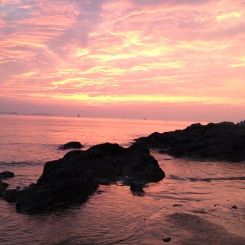 ssalgea's profile picture. 