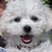 MrsPallister's profile image