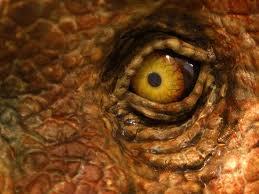 BlogUrudi's profile picture. O mais selvagem dos dinossauros, vindo diretamente da mente de uma criança. Devorando a tecnologia.