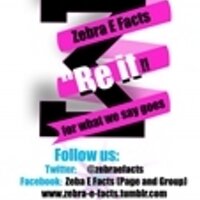 Zebra E Facts (@zebraefacts) 's Twitter Profile