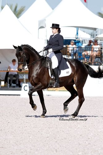 Home of USDF gold medalist Maat van Uitert! Maat accepts horses for competition for FEI competition.