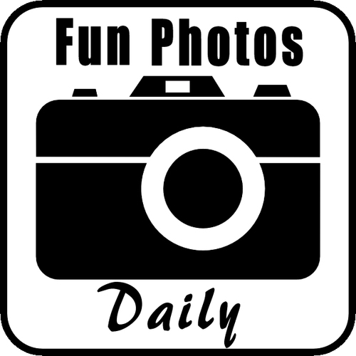 FunPhotosDaily's profile picture. 18+
Tweet us pics!
#ManginaMondays
#TitsOutTuesday
#WingmanWednesday 
#ThingsInYourFannyThursday 
#CaughtFuckingFriday
#SexySaturday
#SloppyShitSunday