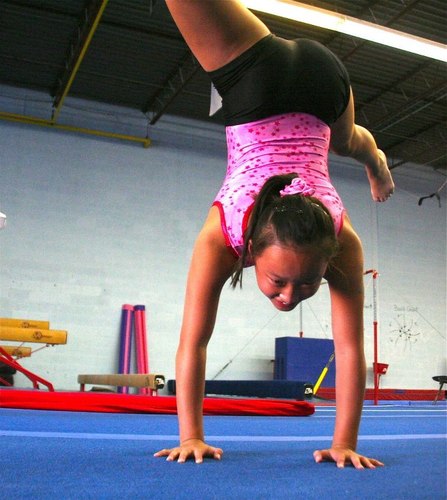 discovery gymnastics discovery gym twitter