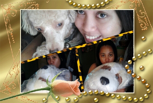 plapaya14831483's profile picture. 