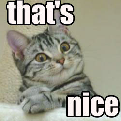 nozomisayaki's profile picture. 