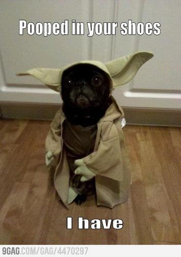 HojteN's profile picture. 