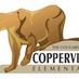 Copperview Elem (@copperviewelem) Twitter profile photo