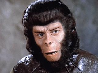 Social Justice Chimpanzee. Writes occasionally. Tried to teach.  (Avatar is Galen, NOT Cornelius.)