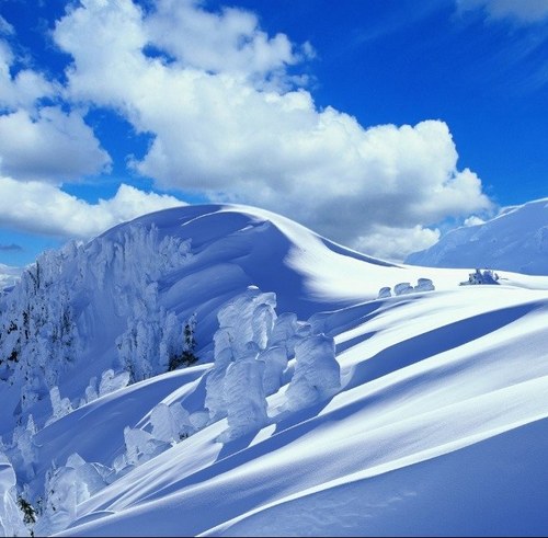 quinn_vadis's profile picture. 