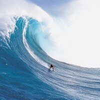 Henry Williams (@henrikxiii) Twitter profile photo