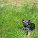 James Mathieson - @JamesMathieson2 - Twitter