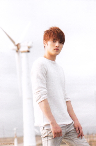 Love Jaejoong