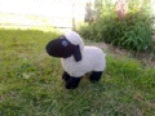 rogerbauchamp's profile picture. Singer, songwriter, mystical poet, cleric - nope I'm none of those but I am the cleverest person I know.