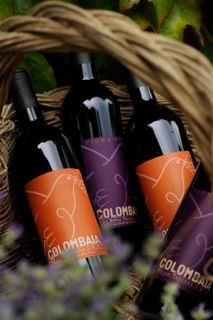 Colombaia is a little wineyard in Colle val d'Elsa Mensanello Siena producing natural biodynamic wines