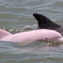 Stella Trahan - @TrahanStella - Twitter