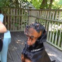 Brian St. John - @Brian_stjohn - Twitter