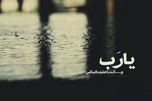 ibrahim_mossa's profile picture. 