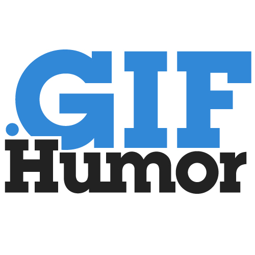 Probably the best GIFs ever. Submit: gifhumor@gmail.com