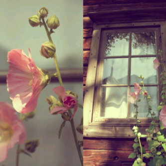 a_s10099's profile picture. 