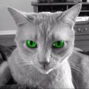 Marlene Cain - @Mar48039 - Twitter