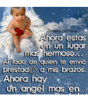 el sofocador (@000_andre) Twitter