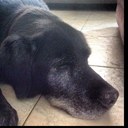 Michal Tal - @mtal13 - Twitter