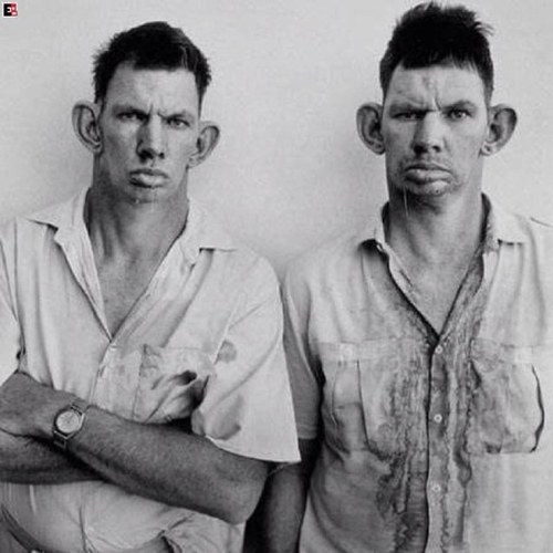 joebananas111's profile picture. 