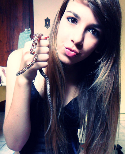 Pra que ler issuh?
Não é mais fácil me
seguir logoh?
Dai vuxê me conhece
pelos meus posts!
Não se preocupe, sempre estarei twittando! :p