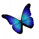 Mirta Ramirez - @RamirezMirta - Twitter