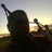 bfdpiper158's profile image