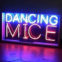 Dancing Mice (@dancingmiceband) 's Twitter Profile